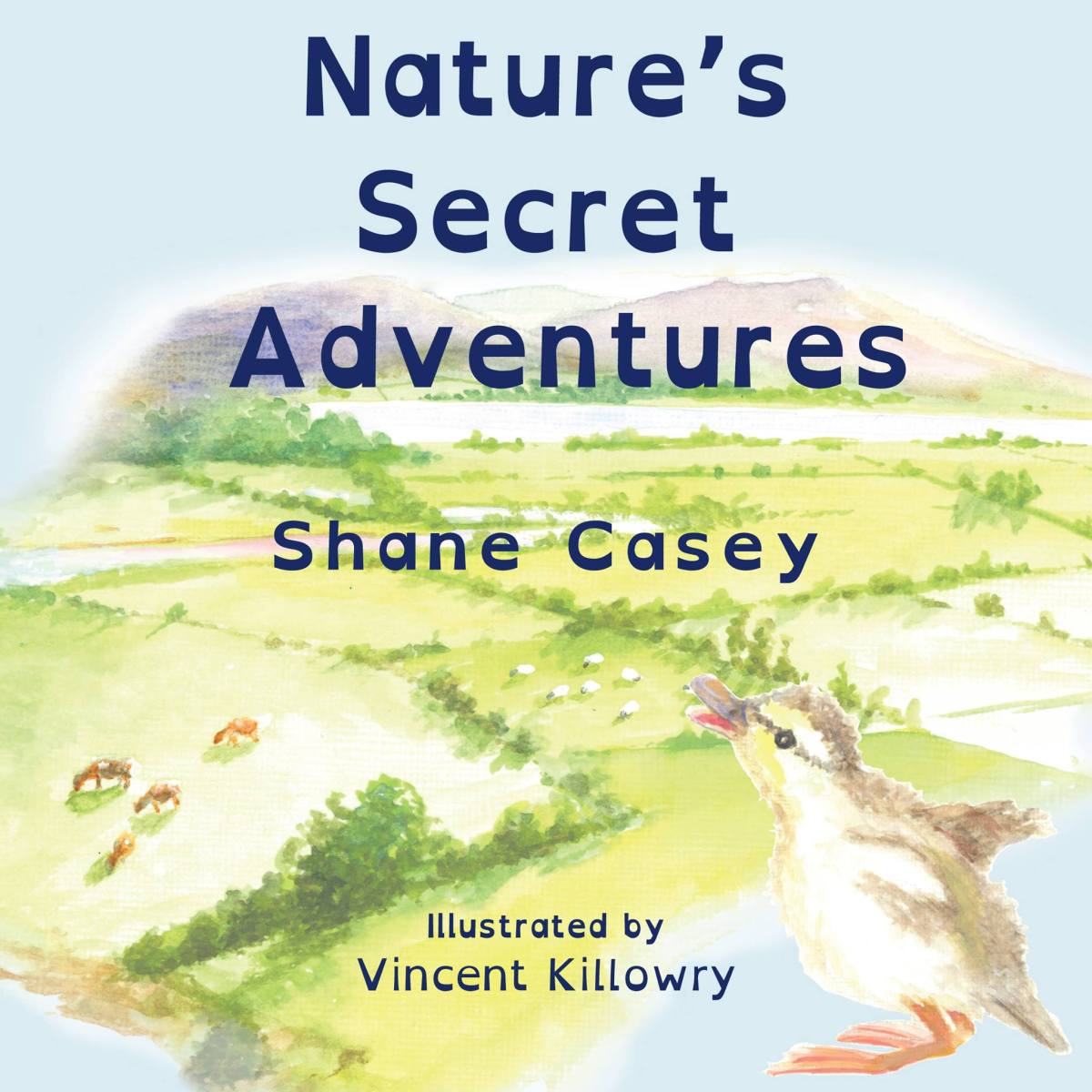Shane Casey Books, Nature Books, Dyslexia Friendly